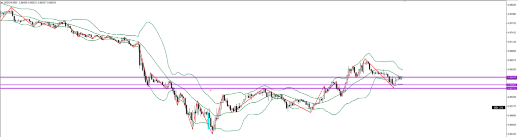 USDCHF　30ｍ